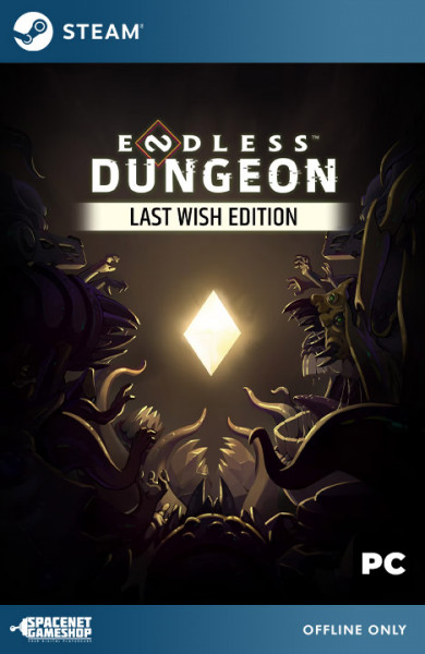 Endless Dungeon - Last Wish Edition Steam [Offline Only]